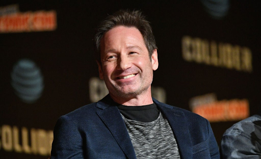  David Duchovny Net Worth: A Deep Dive Into His Wealth, Life, And Career